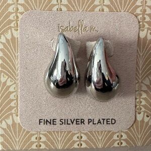 🌟5/$10 Fine Silver Plated Large Teardrop Earrings